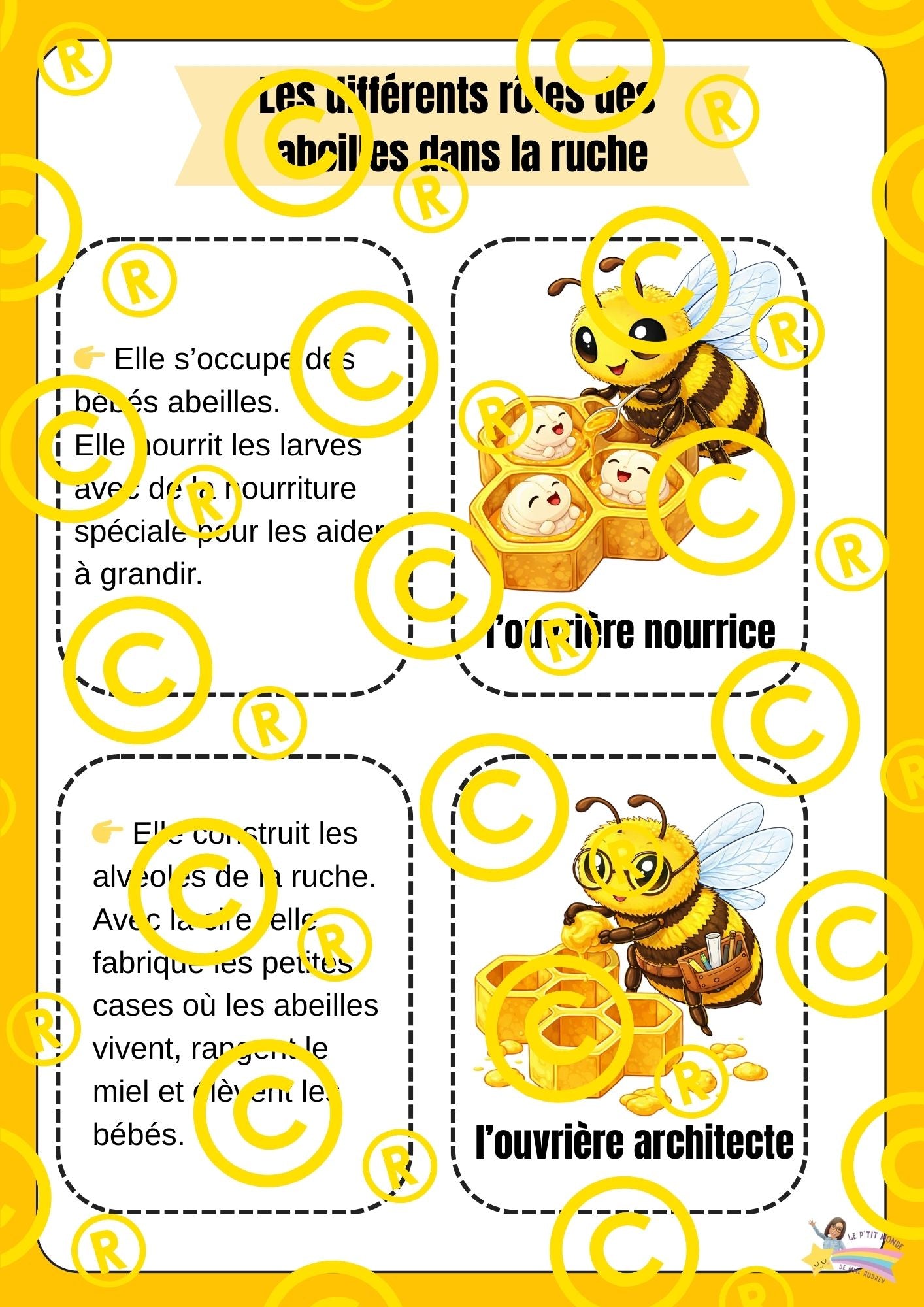 Mon dossier scientifique sur les insectes