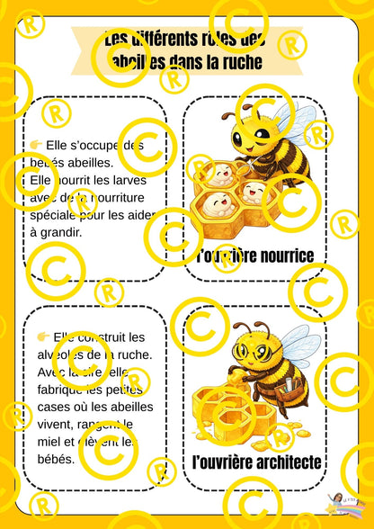 Mon dossier scientifique sur les insectes