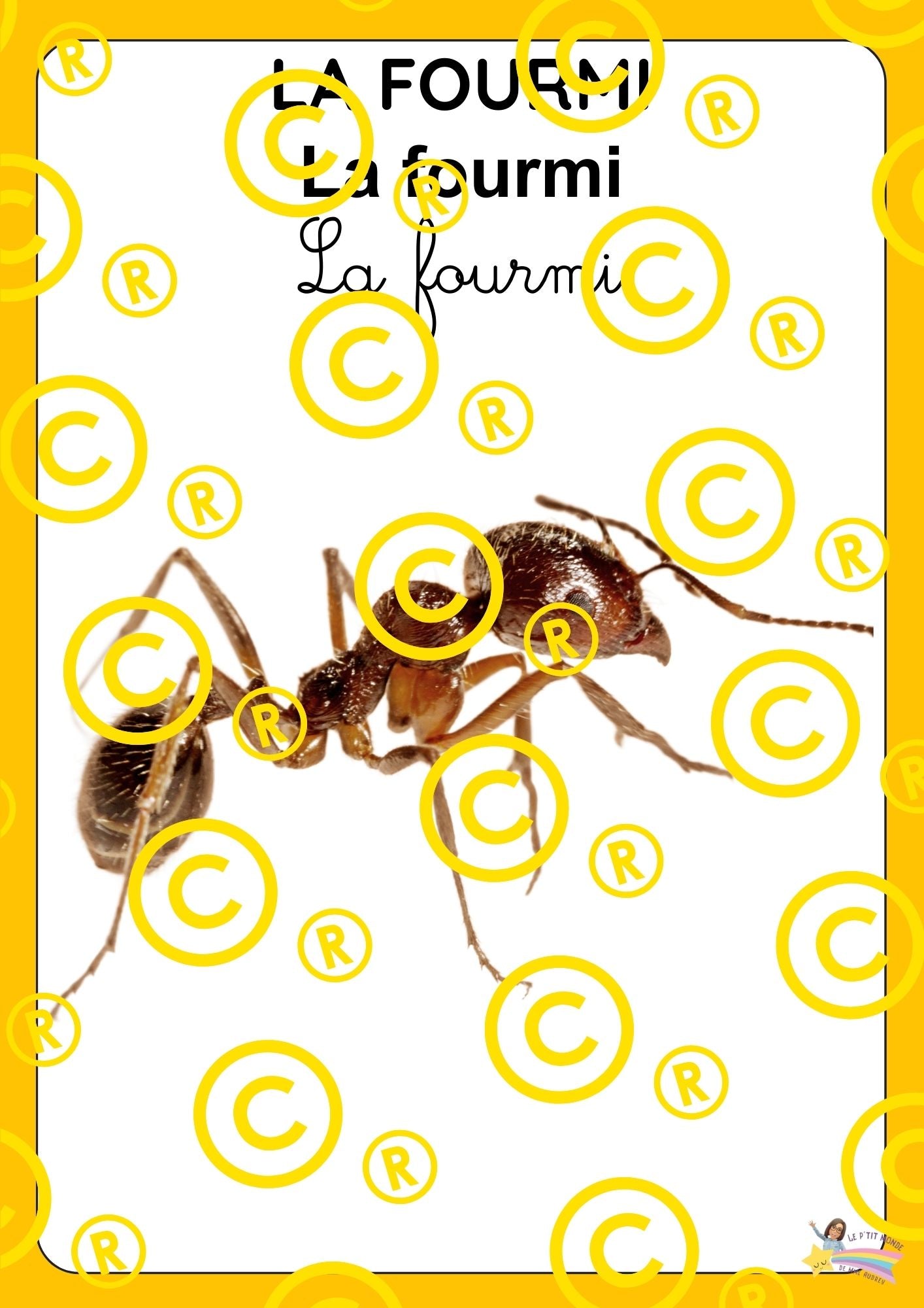 Mon dossier scientifique sur les insectes