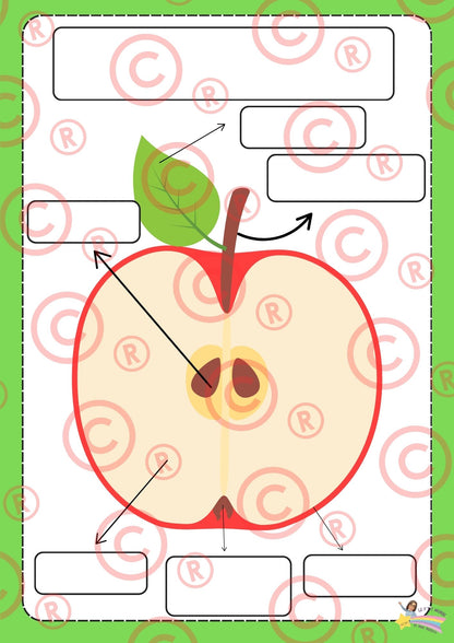 Mini Dossier sur "Les pommes"