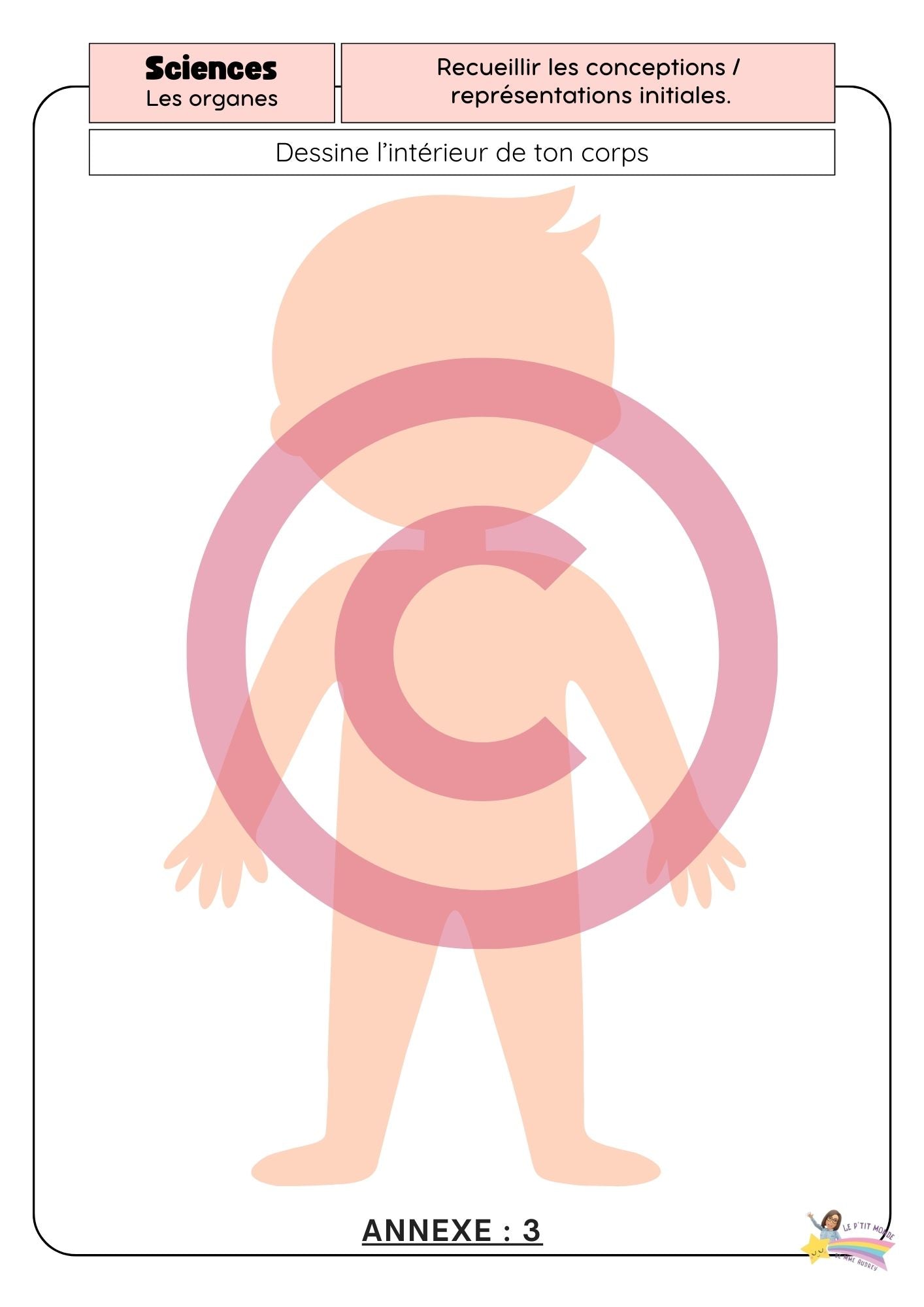 Dossier Sciences: Le corps humain /Les 5 sens (320 pages) + démarches d'investigation