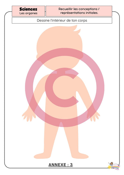 Dossier Sciences: Le corps humain /Les 5 sens (320 pages) + démarches d'investigation