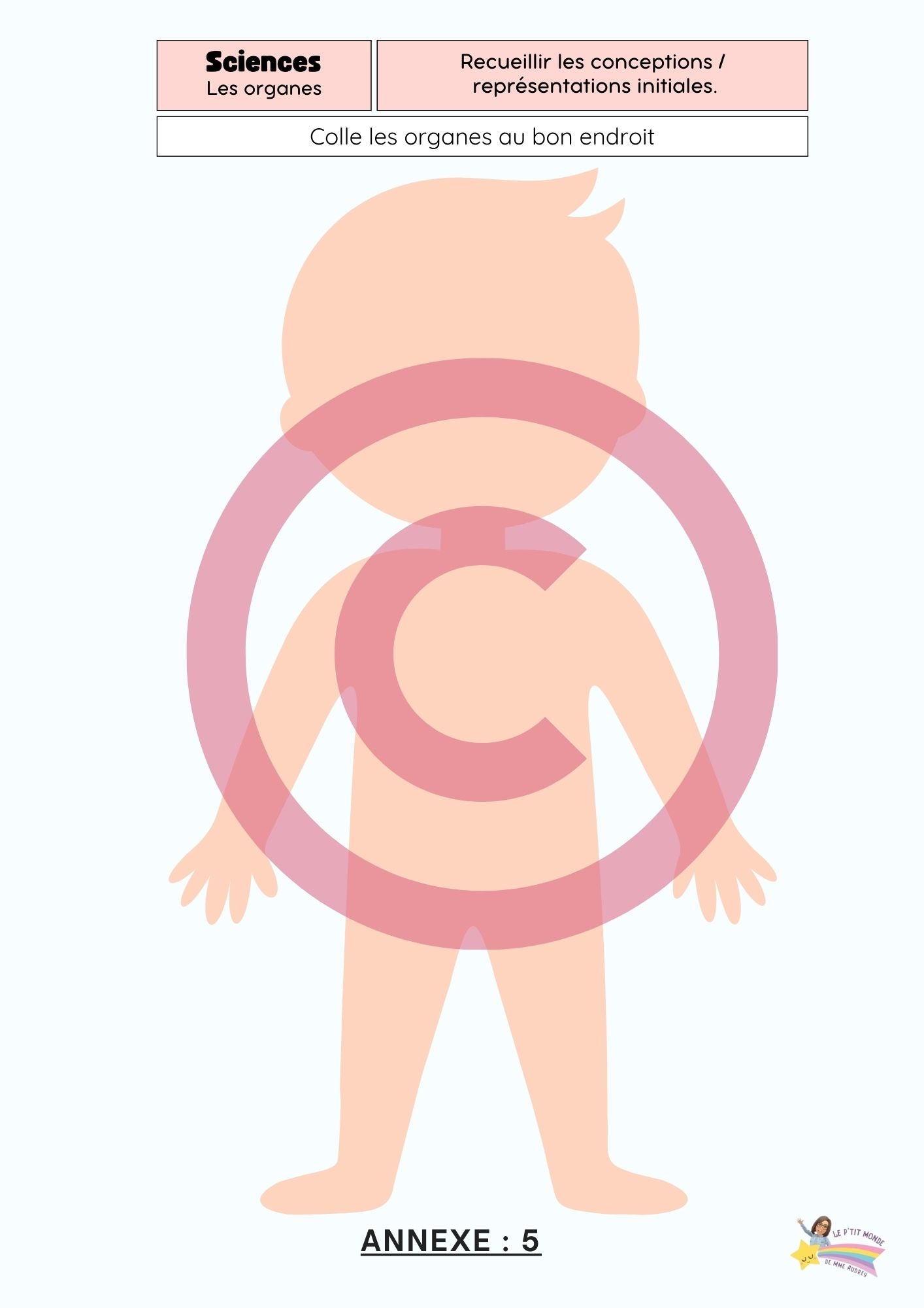 Dossier Sciences: Le corps humain /Les 5 sens (320 pages) + démarches d'investigation