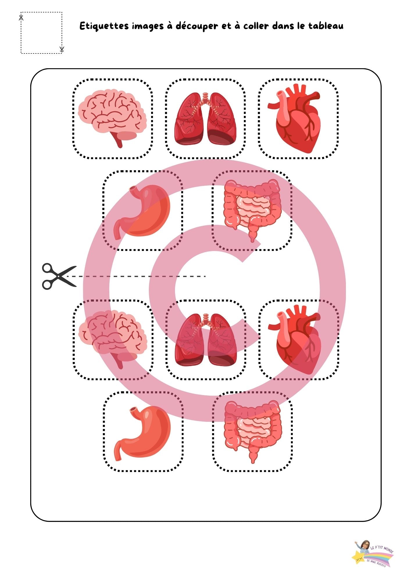 Dossier Sciences: Le corps humain /Les 5 sens (320 pages) + démarches d'investigation