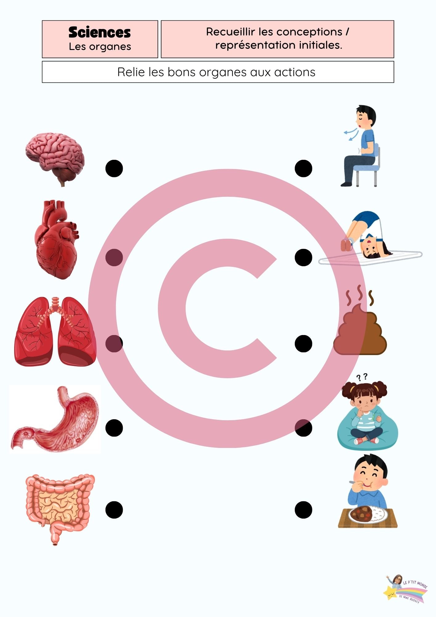 Dossier Sciences: Le corps humain /Les 5 sens (320 pages) + démarches d'investigation