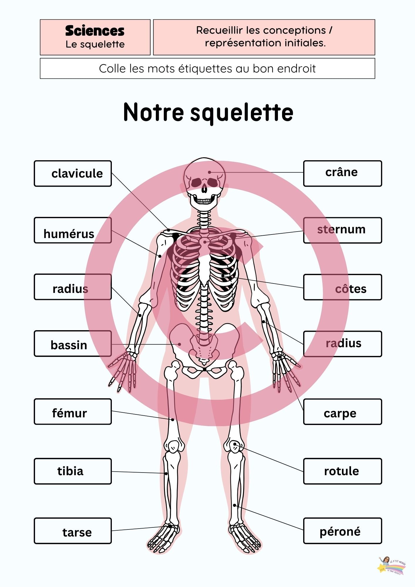 Dossier Sciences: Le corps humain /Les 5 sens (320 pages) + démarches d'investigation