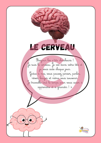 Dossier Sciences: Le corps humain /Les 5 sens (320 pages) + démarches d'investigation