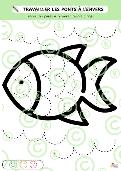 Mon cahier autonome de GRAPHISME: M2/M3