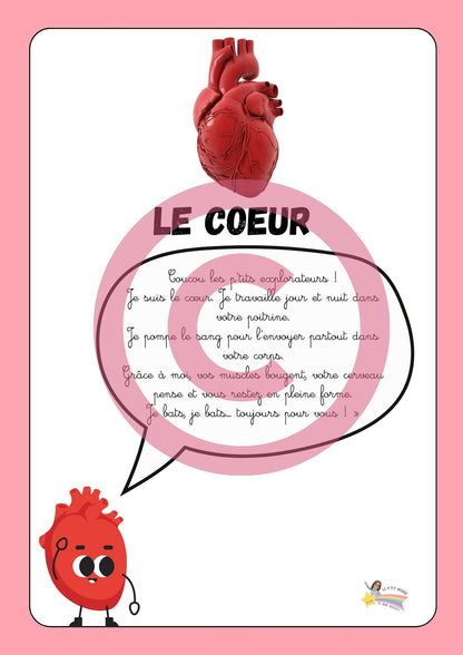 Dossier Sciences: Le corps humain /Les 5 sens (320 pages) + démarches d'investigation