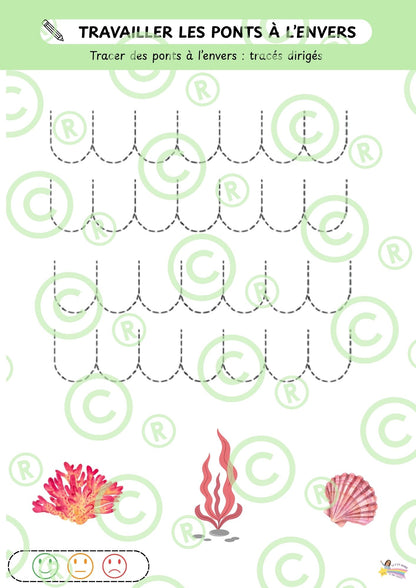 Mon cahier autonome de GRAPHISME: M2/M3