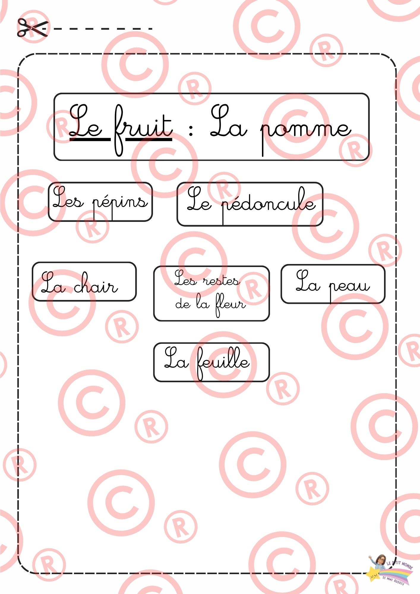 Mini Dossier sur "Les pommes"
