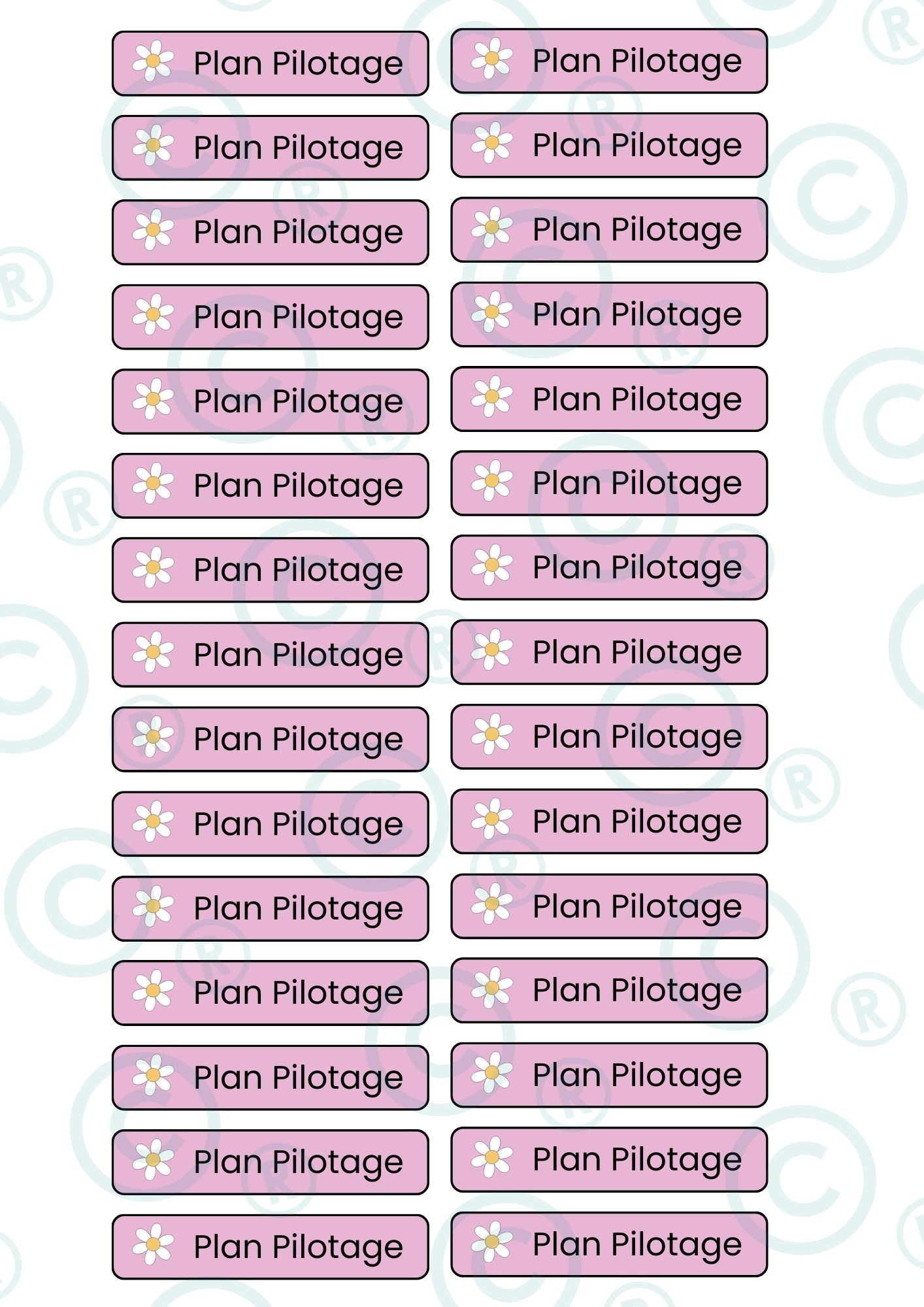 PACK NOUVEAUX STICKERS RECTANGULAIRES ( 8 planches de 30 stickers)