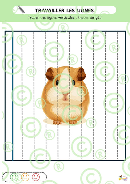 Mon cahier autonome de GRAPHISME: M2/M3