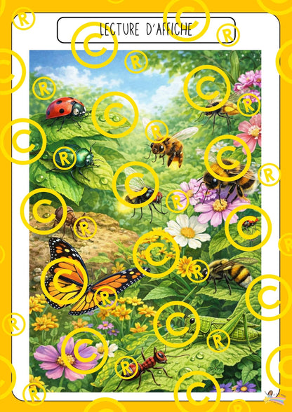 Mon dossier scientifique sur les insectes