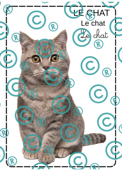 Dossier scientifique : Le monde animal (La classification)