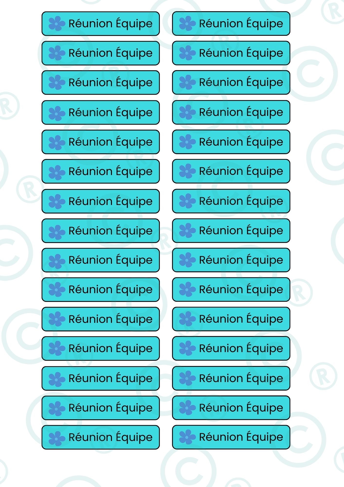 PACK NOUVEAUX STICKERS RECTANGULAIRES ( 8 planches de 30 stickers)