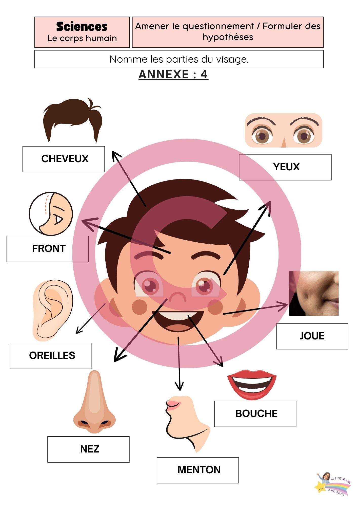 Dossier Sciences: Le corps humain /Les 5 sens (320 pages) + démarches d'investigation