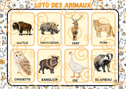 PDF Loto des animaux PDF