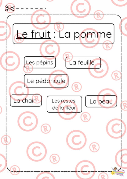 Mini Dossier sur "Les pommes"