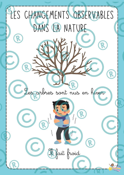 NOUVEAU ! Mon p'tit dossier : L'hiver ( maternelles)