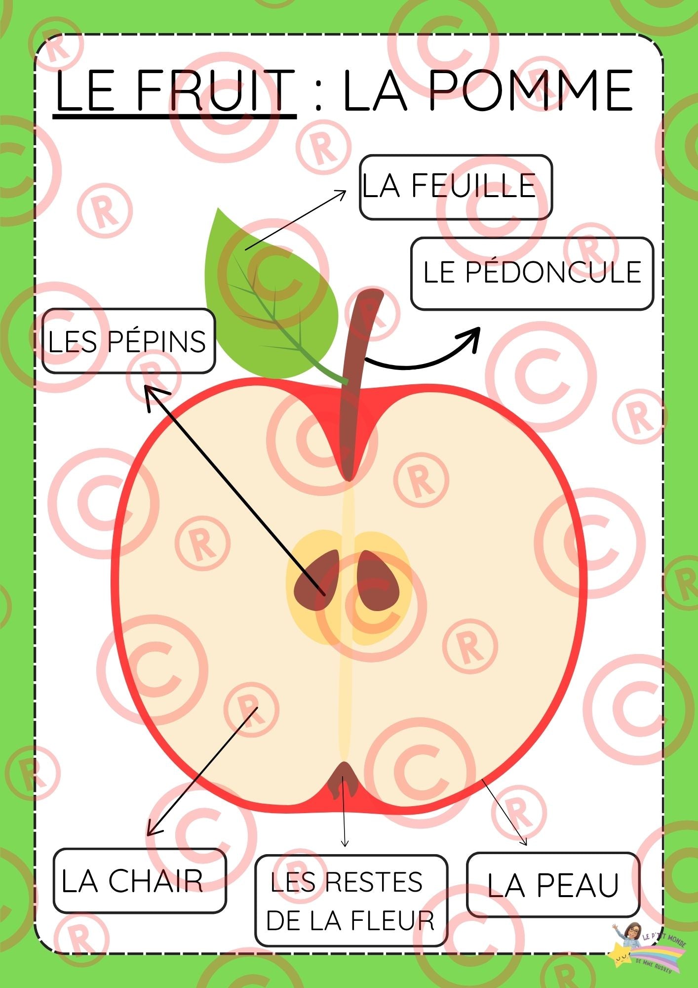 Mini Dossier sur "Les pommes"