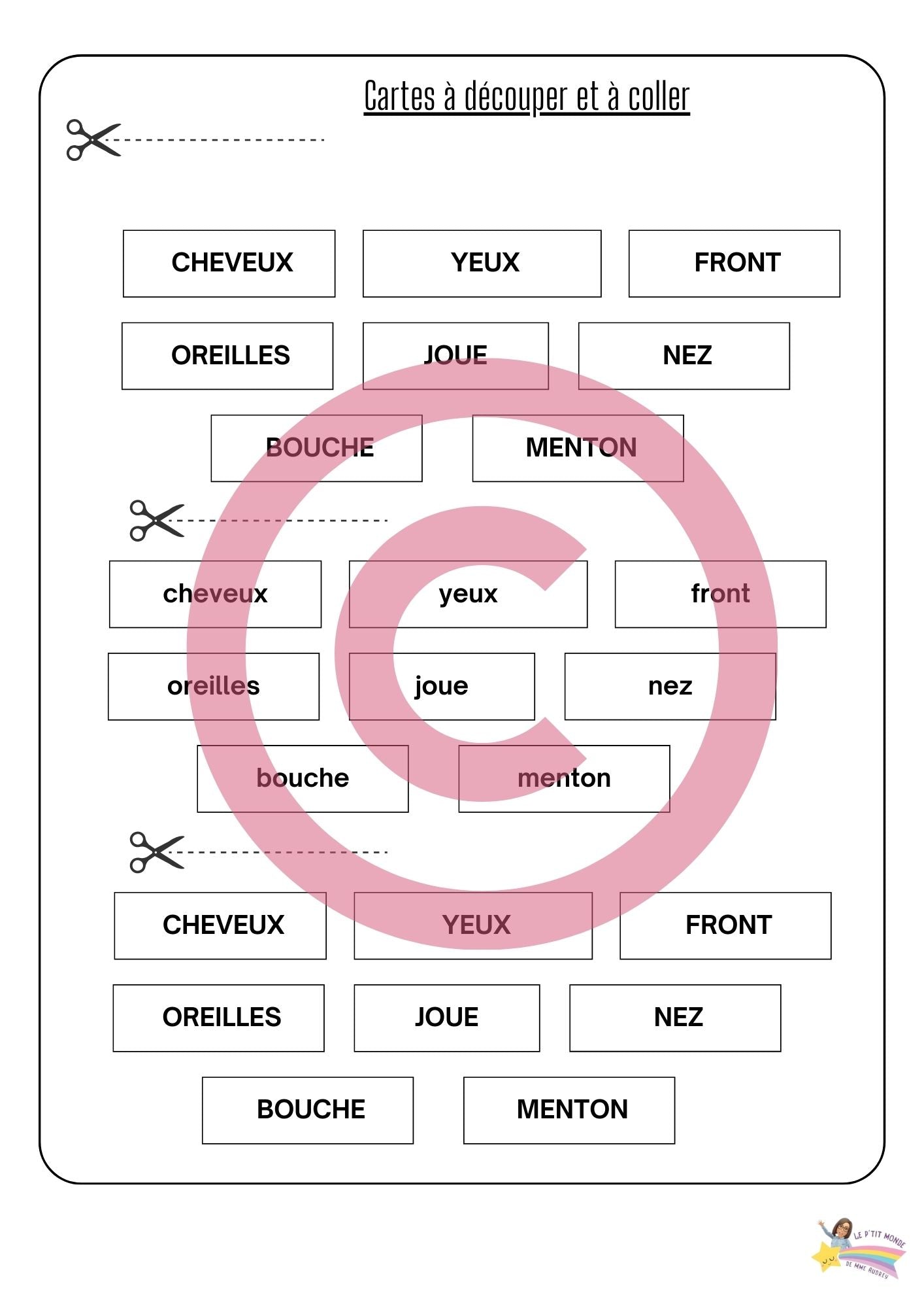 Dossier Sciences: Le corps humain /Les 5 sens (320 pages) + démarches d'investigation