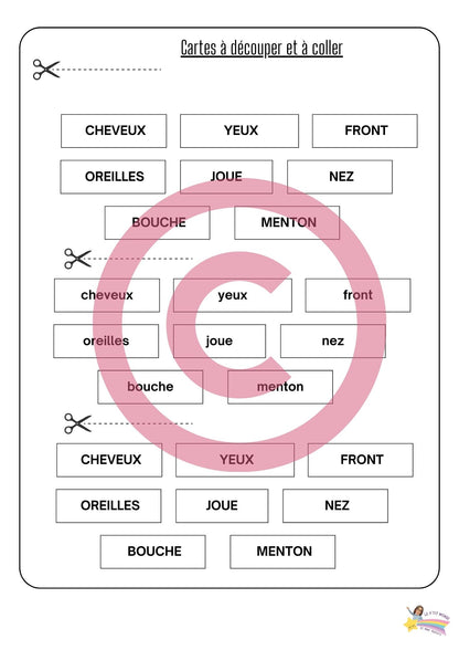 Dossier Sciences: Le corps humain /Les 5 sens (320 pages) + démarches d'investigation