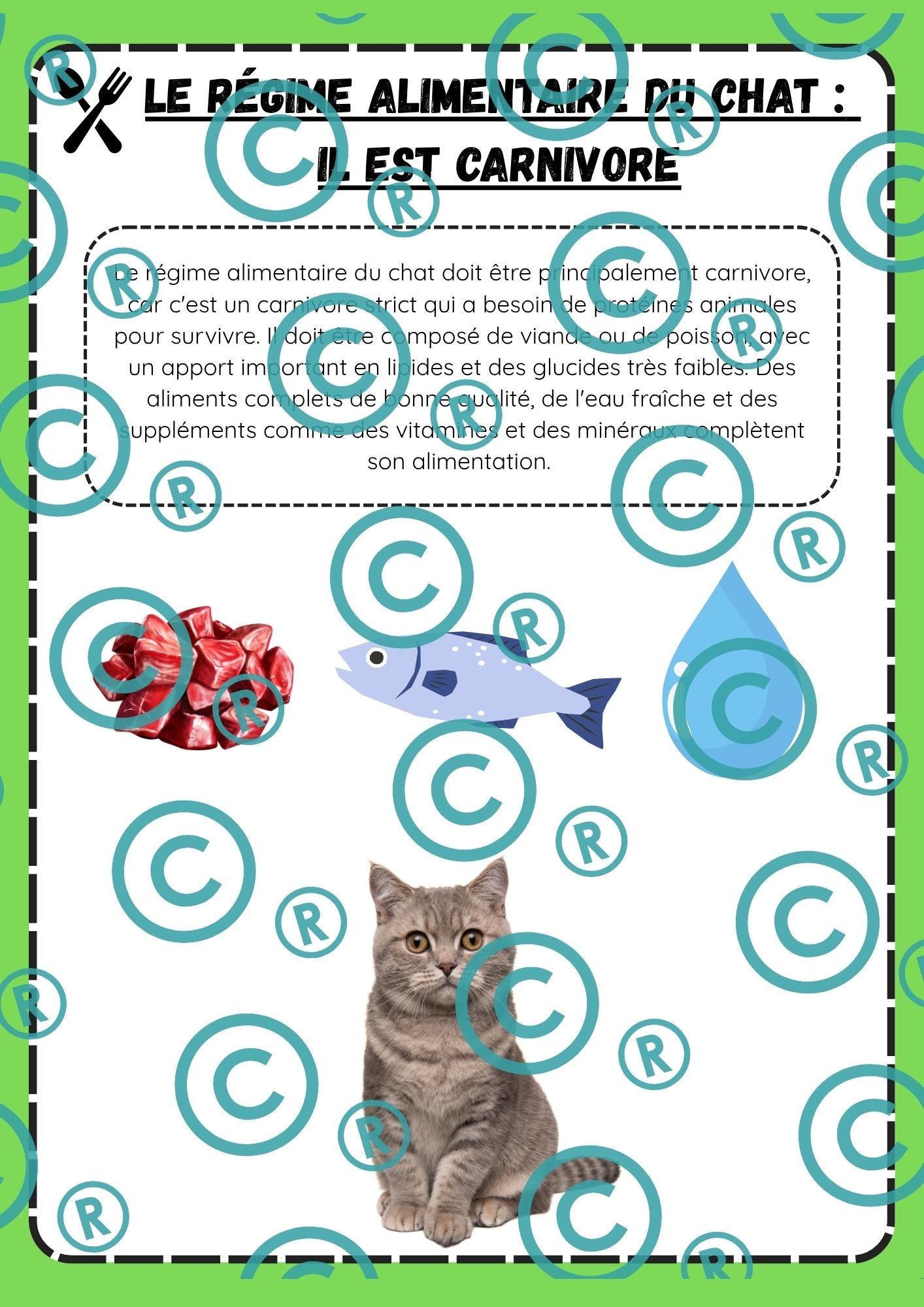 Dossier scientifique : Le monde animal (La classification)