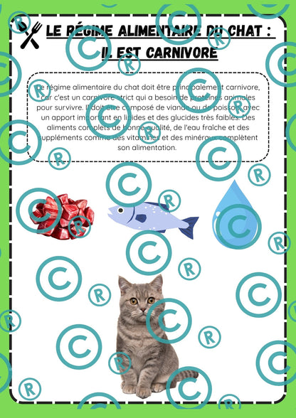 Dossier scientifique : Le monde animal (La classification)