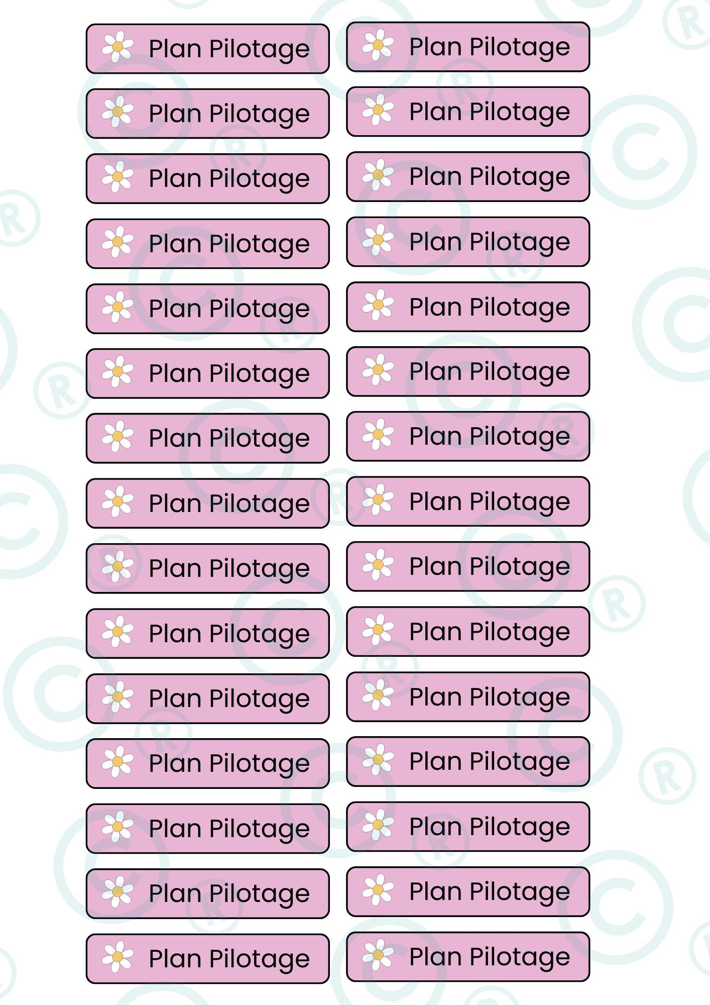 STICKERS RECTANGULAIRES: "Plan Pilotage"